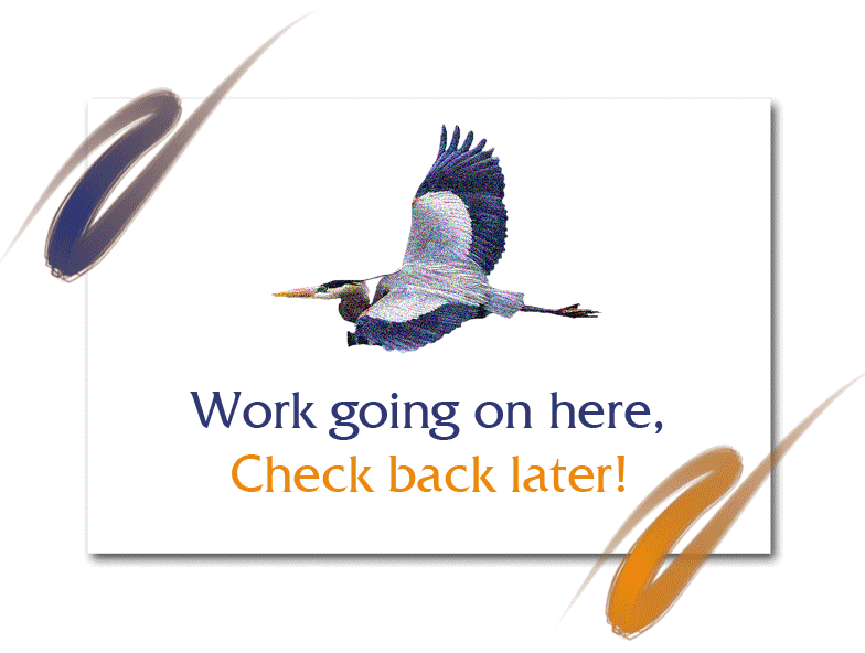 Cranesoft - Working!